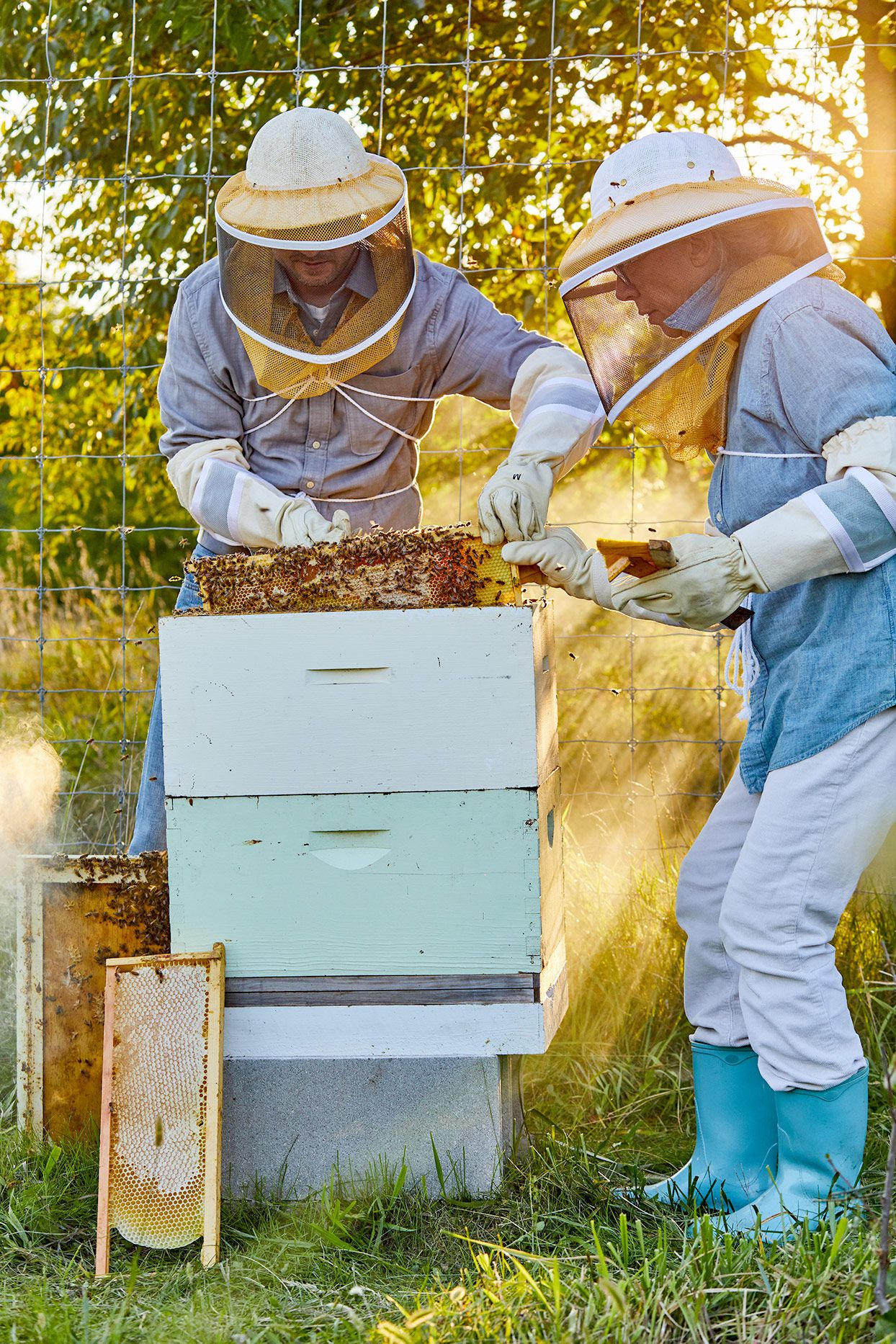 4. Beekeeping knowledge