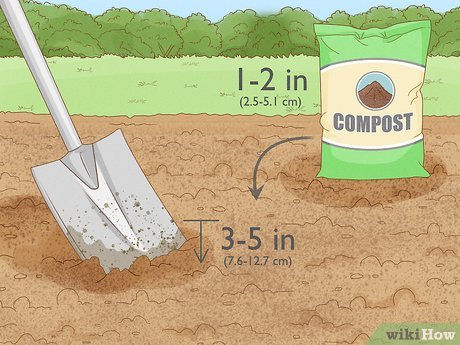 5 organic methods for adding phosphorous to soil