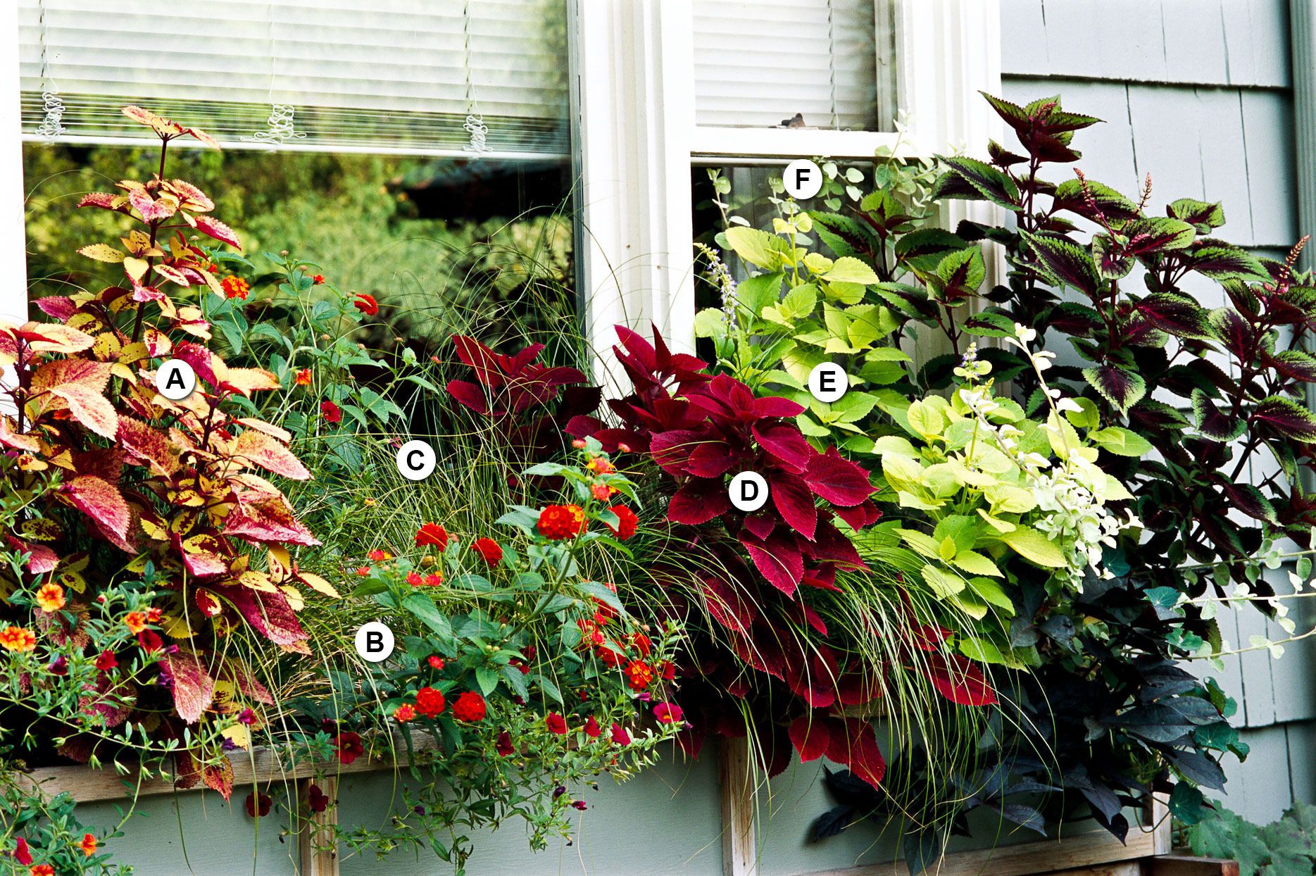 Spring window box ideas – 8 looks for an instant front yard glow-up