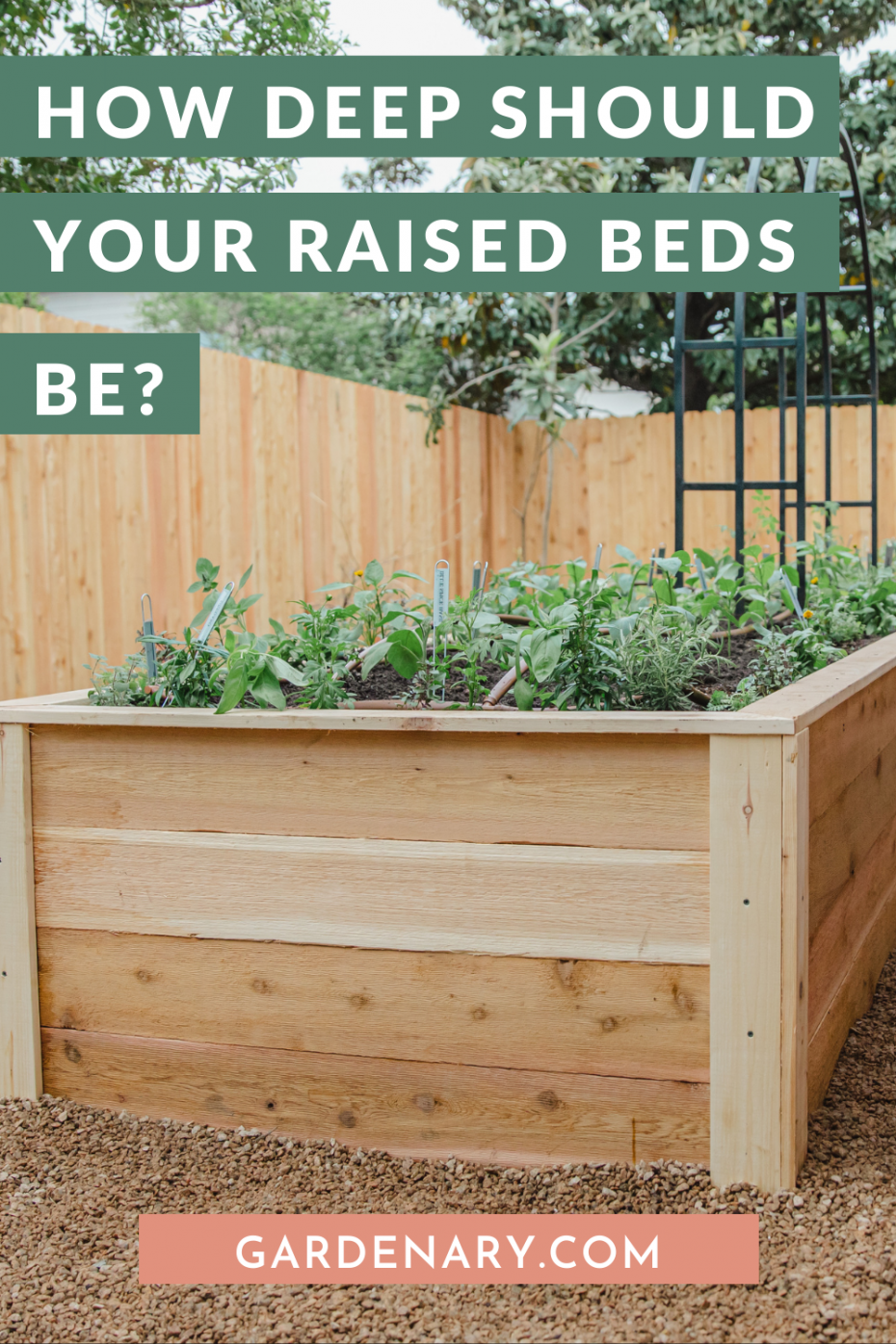How wide should a raised garden bed be