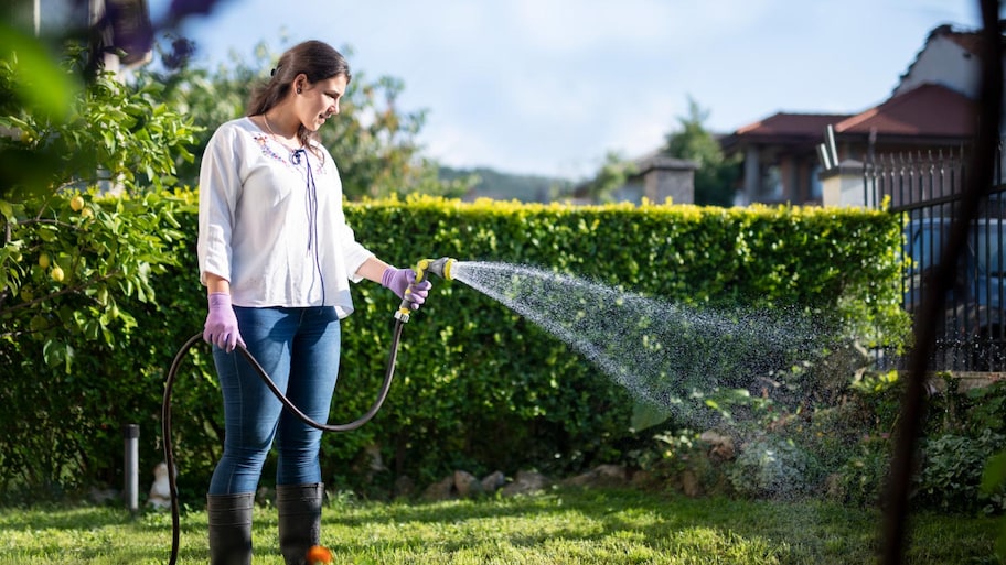 How often should you water your lawn in summer